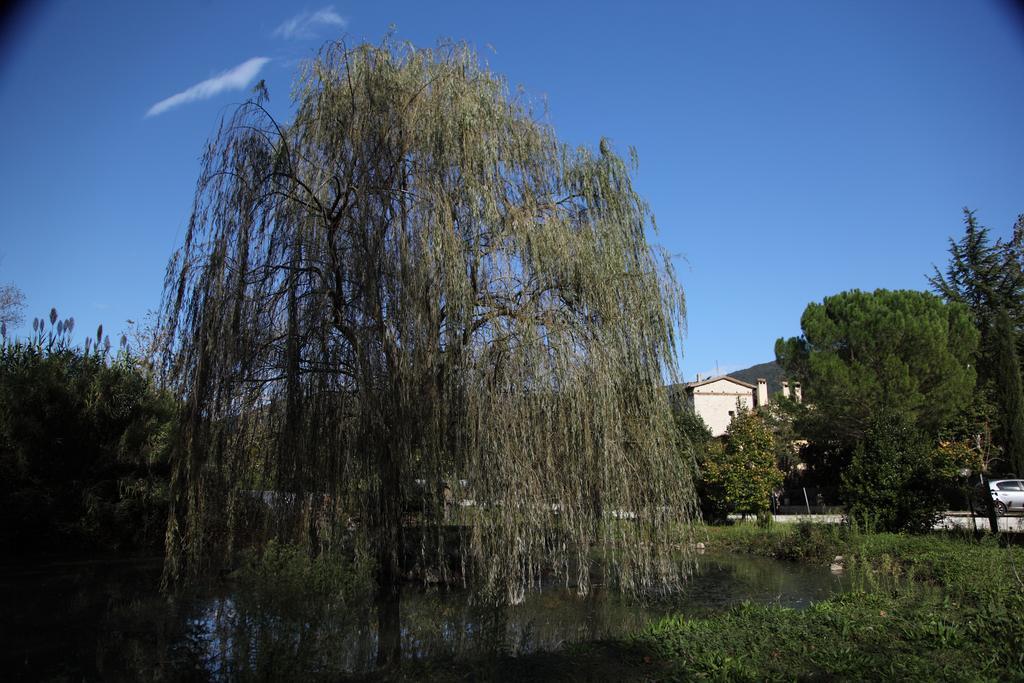 Il Vecchio Mulino Villa Massa Martana Bagian luar foto