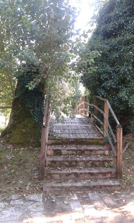 Il Vecchio Mulino Villa Massa Martana Bagian luar foto