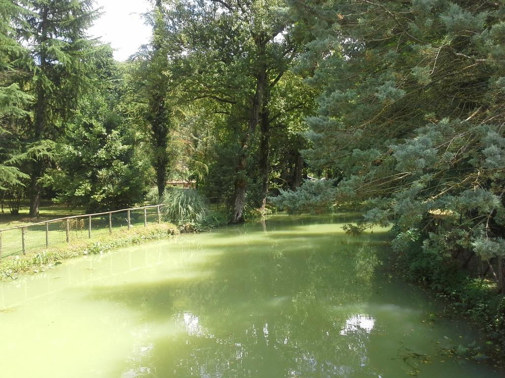 Il Vecchio Mulino Villa Massa Martana Bagian luar foto
